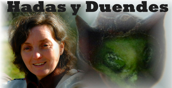 Home hadas y duendes