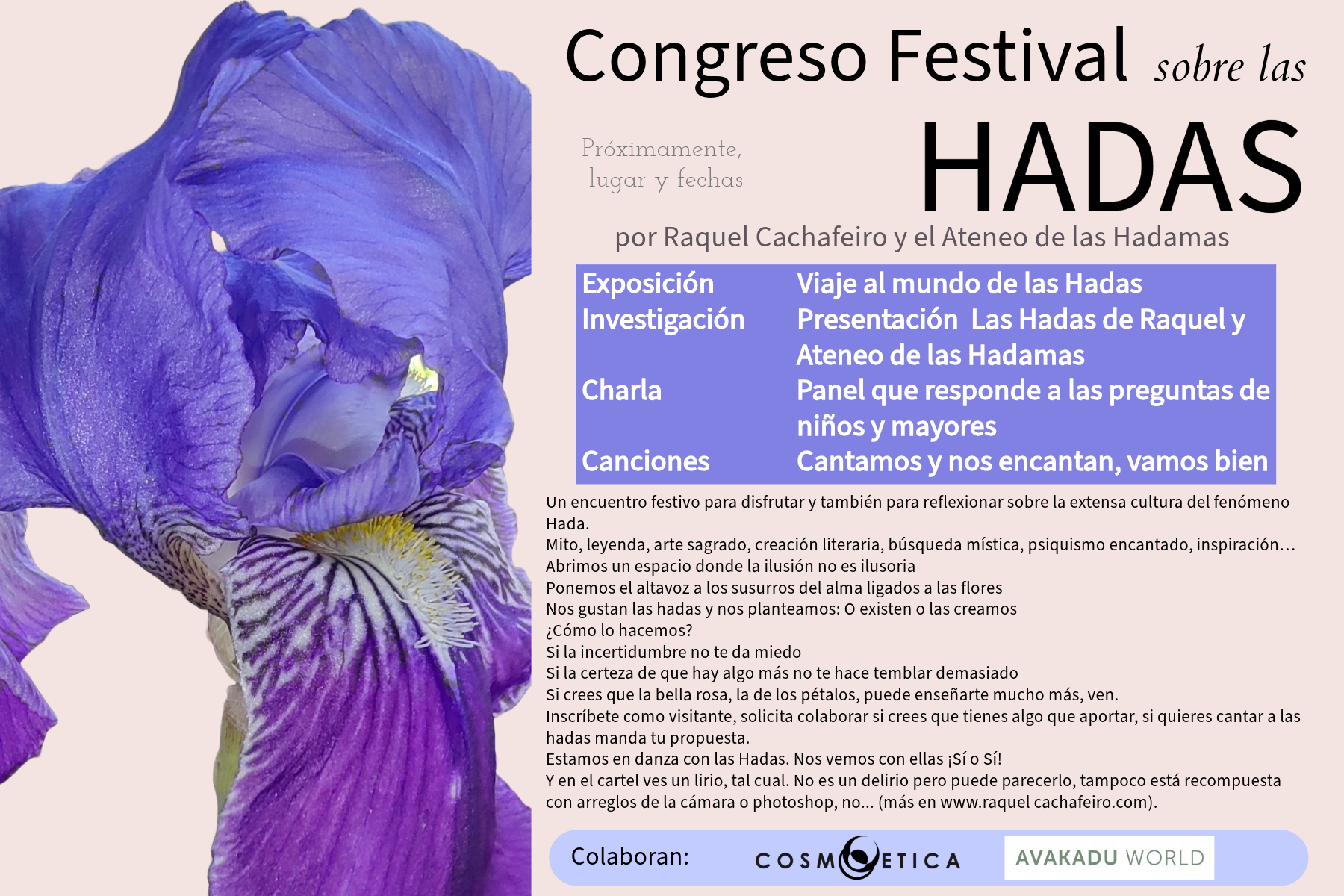 Home festival de las hadas